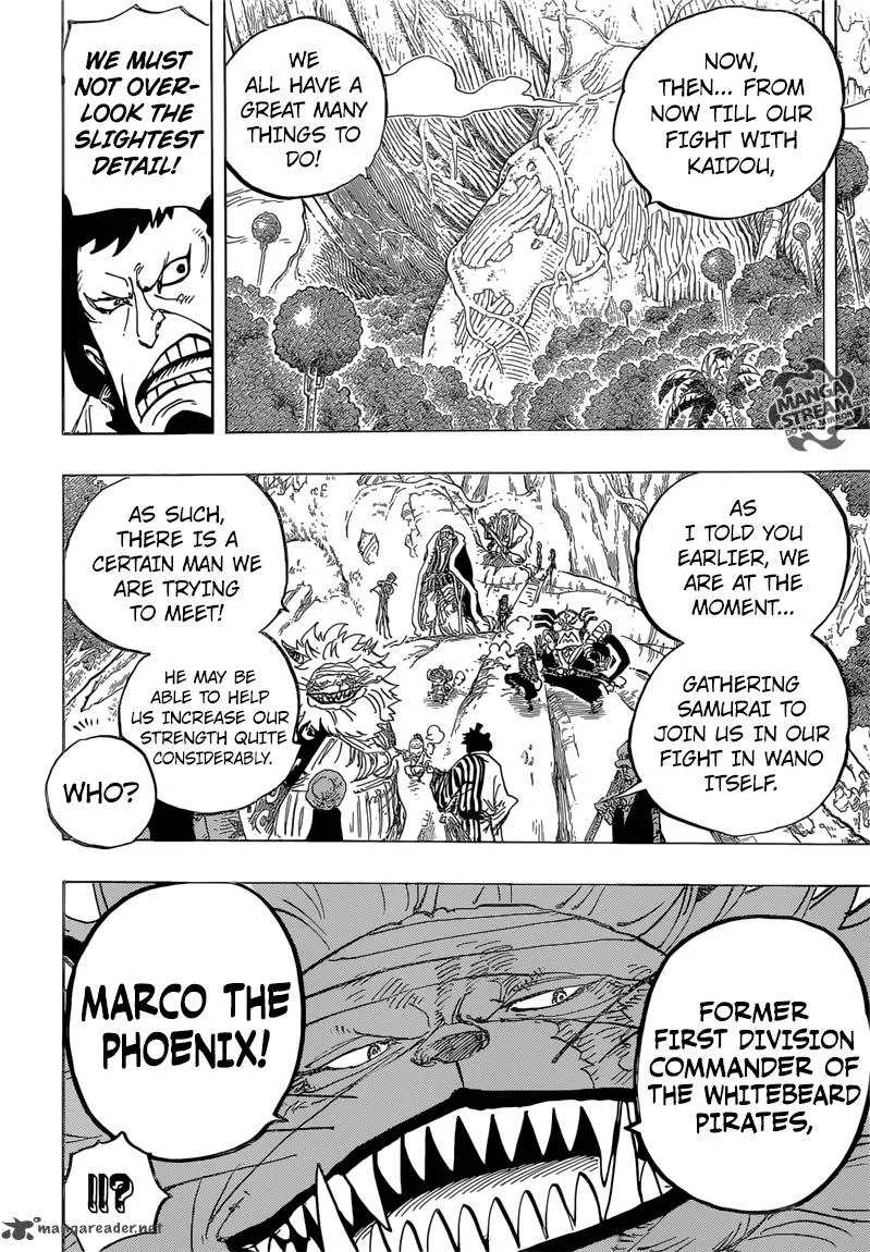 One Piece Chapter 820: Dog and Cat Have a History – Page 12