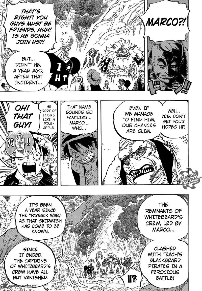 One Piece Chapter 820: Dog and Cat Have a History – Page 13