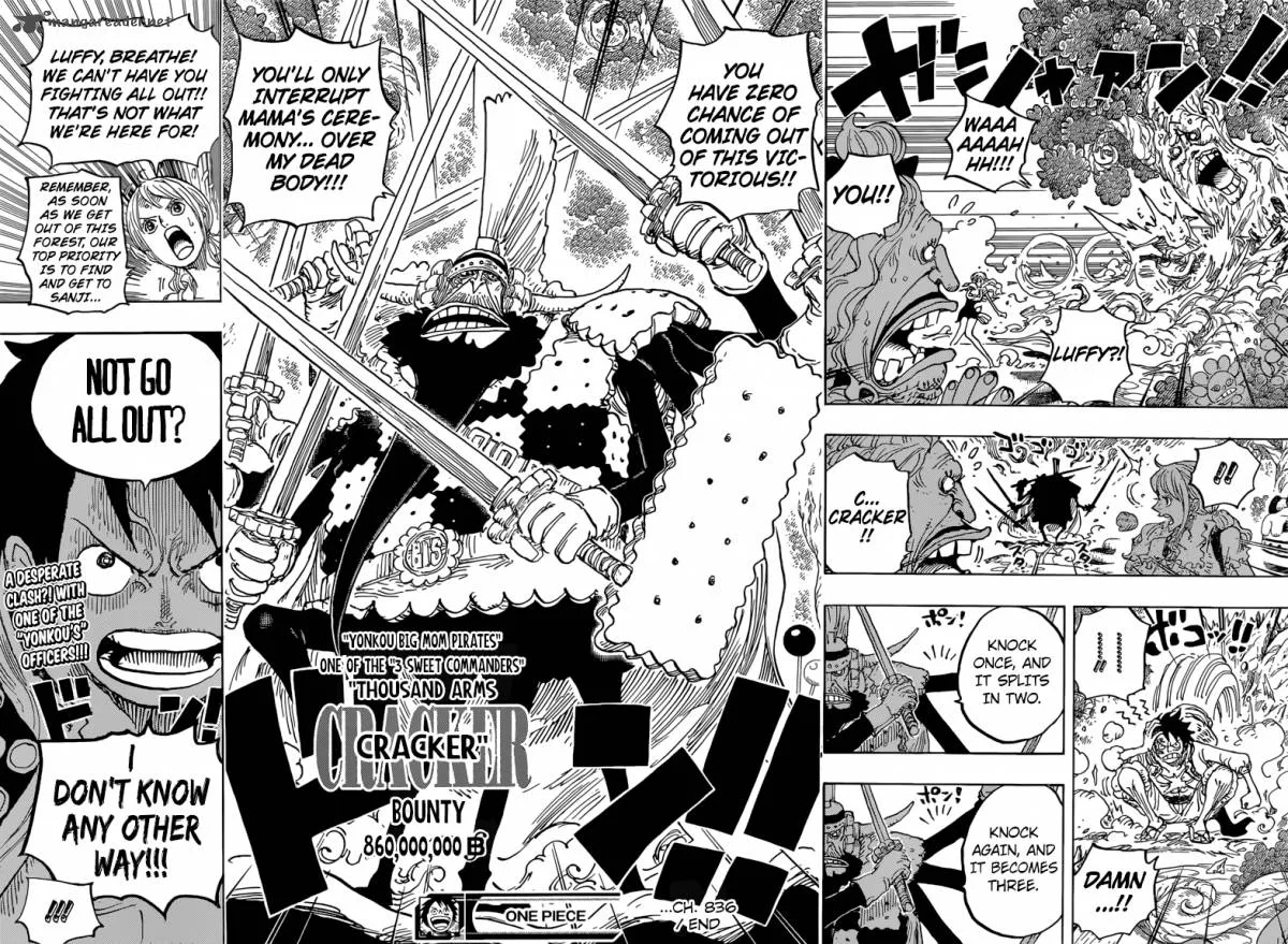 One Piece Chapter 836: The Vivre Card Lola Gave – Page 14