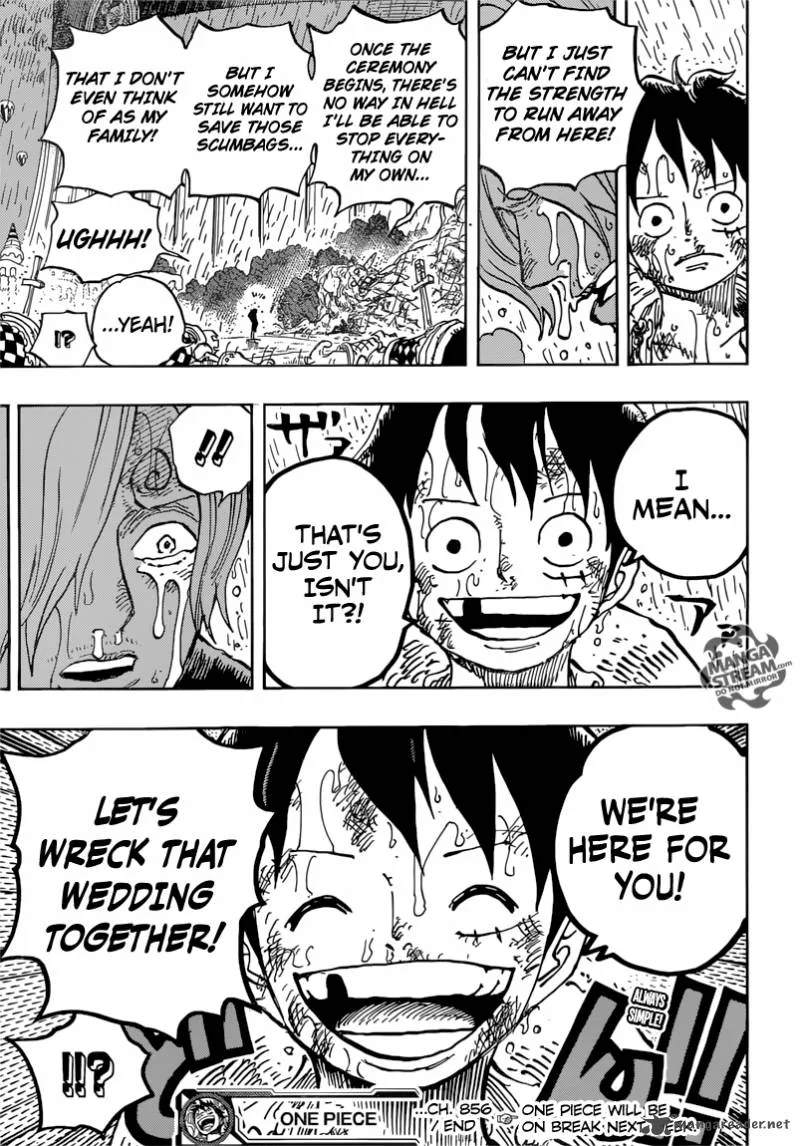 One Piece Chapter 856: Liar! – Page 17