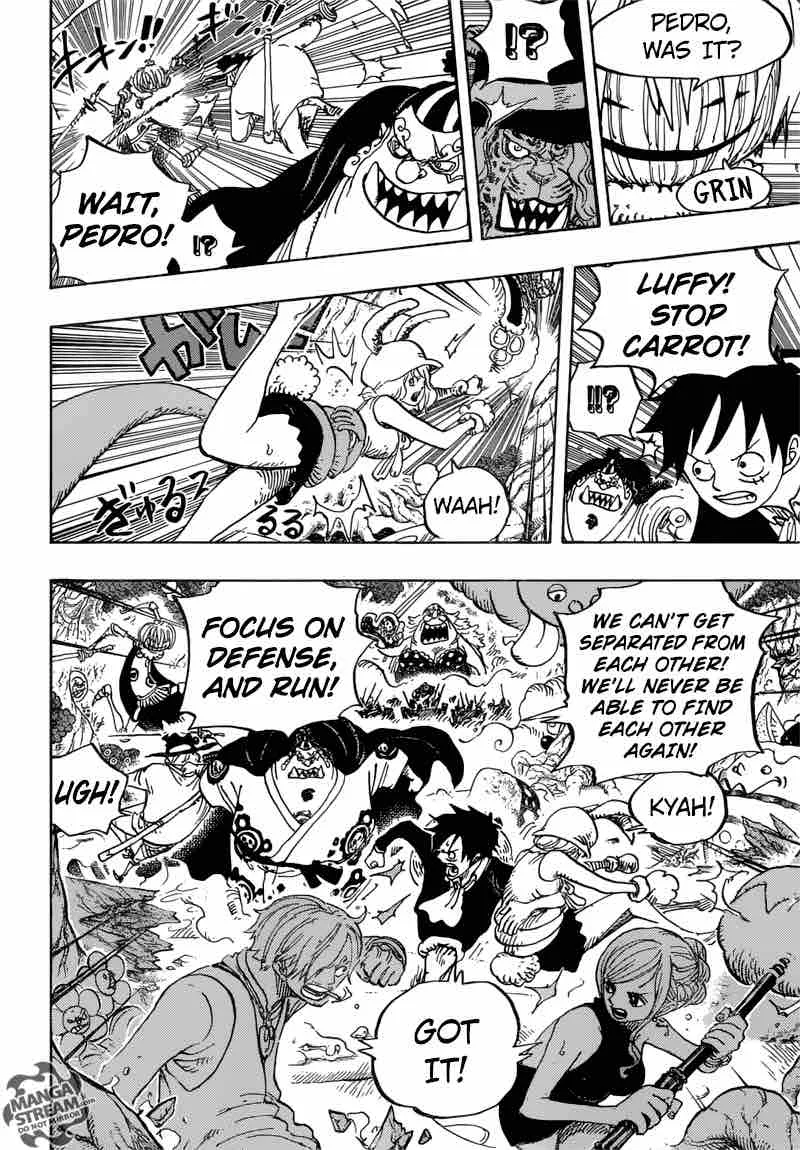 One Piece Chapter 875: A woman's honor – Page 11