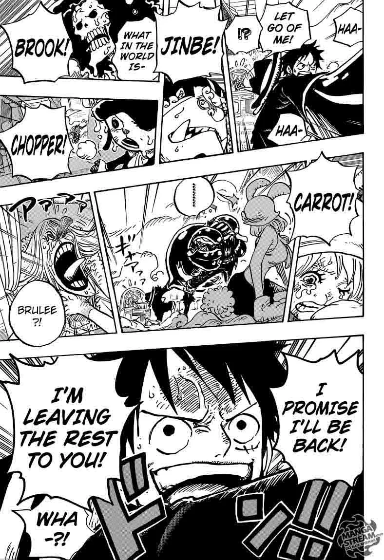 One Piece Chapter 878: Mink Tribe, Guardians Chief Pedro – Page 15