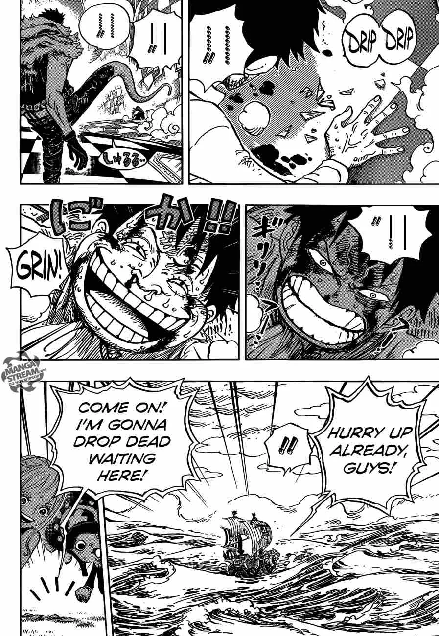 One Piece Chapter 881: A Wave Room – Page 15