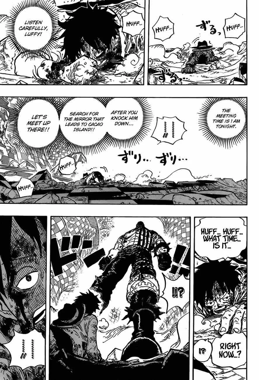 One Piece Chapter 896: The last request – Page 12