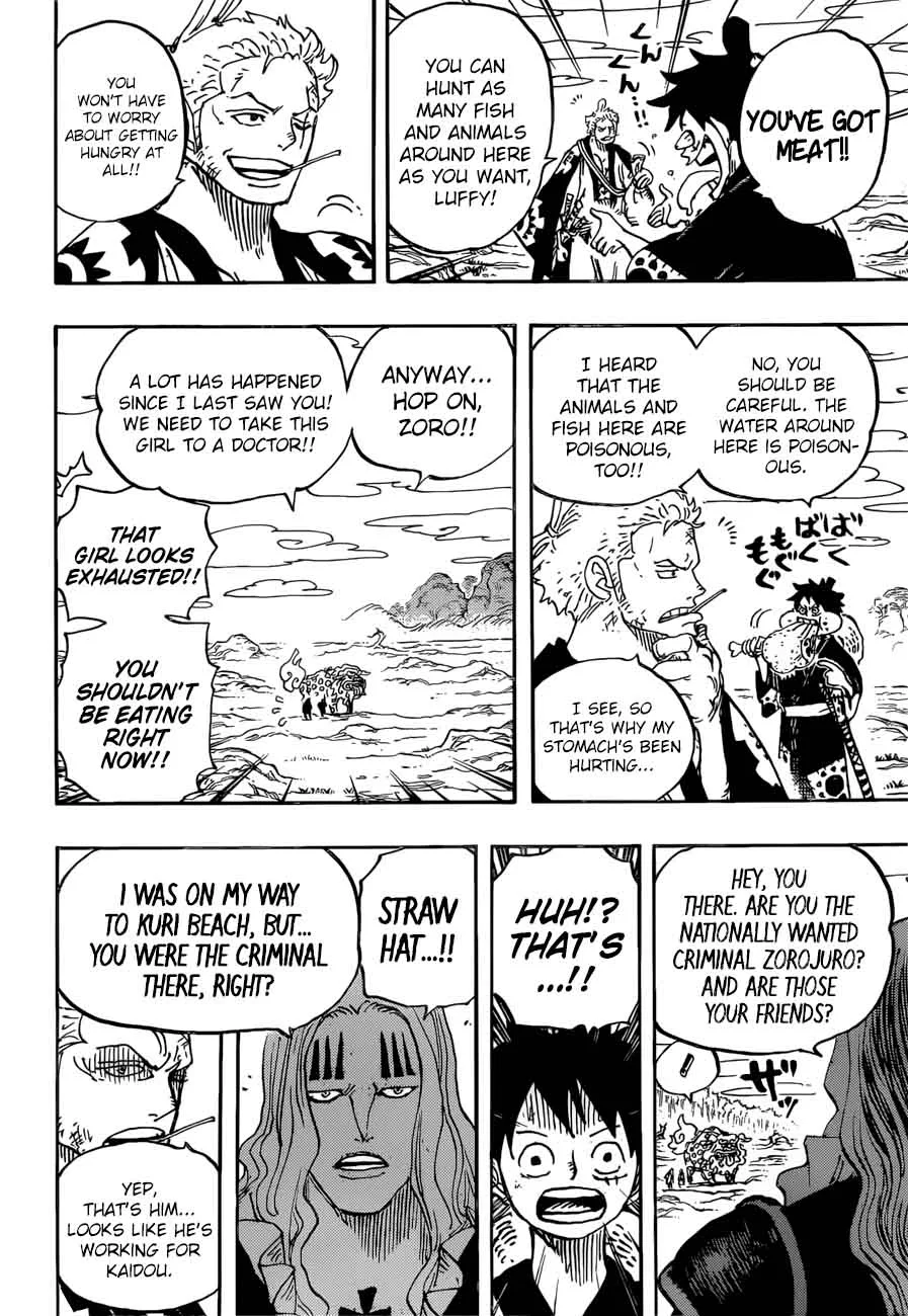 One Piece Chapter 912: Amigasa Village – Page 17