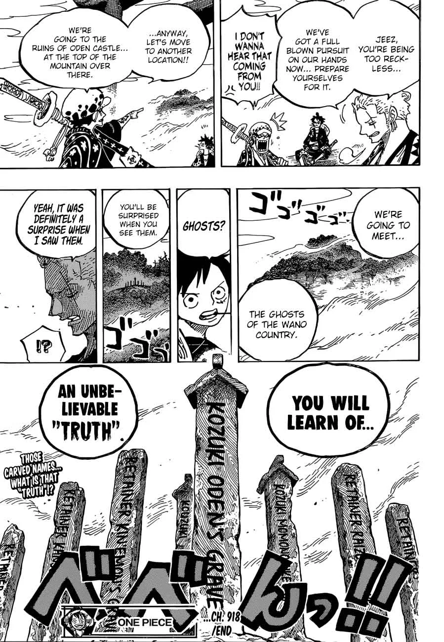 One Piece Chapter 918: Luffytaro Repays The Favour – Page 16