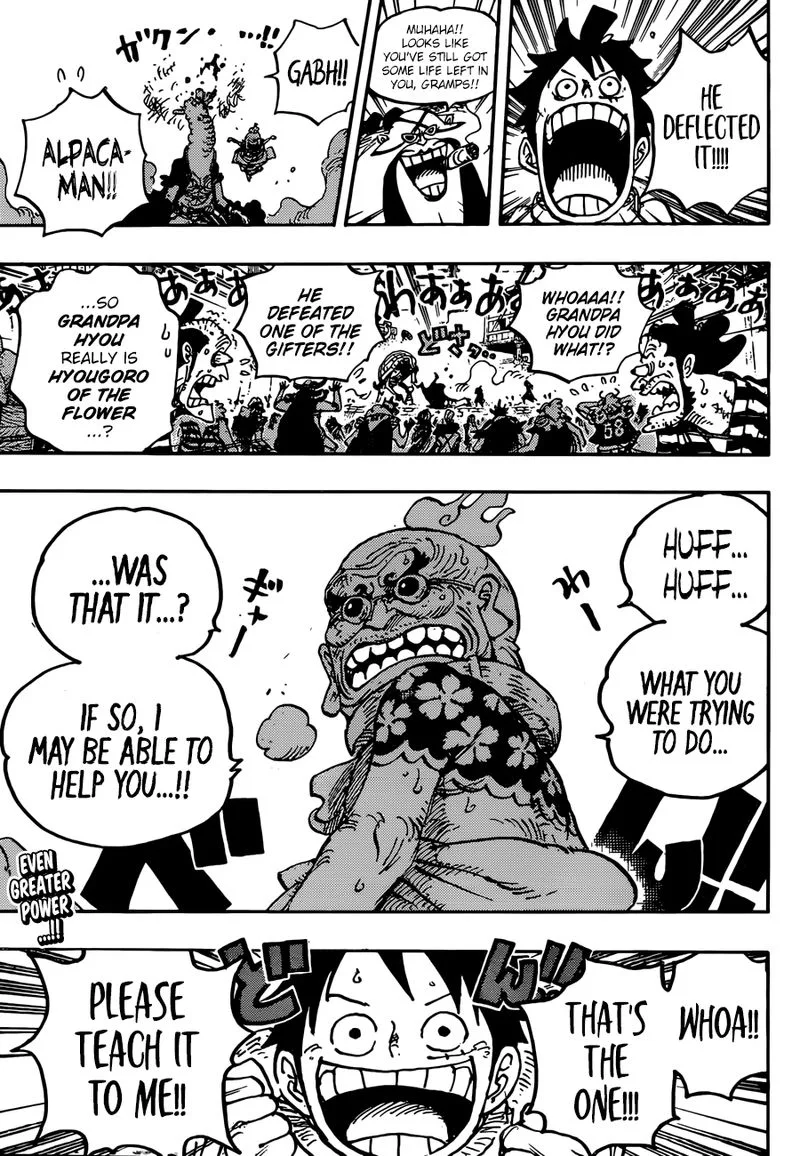One Piece Chapter 939: An Old Hyourse Knows The Way – Page 16