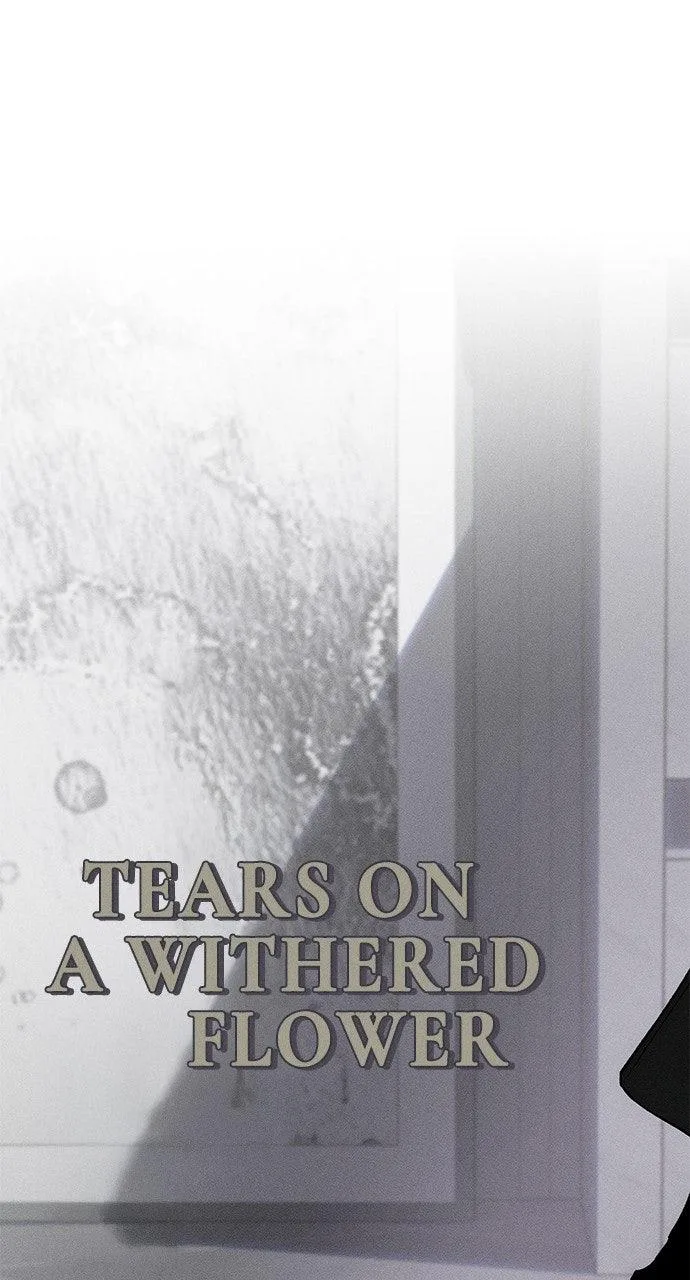 Tears on a Withered Flower Chapter 16 – Page 81