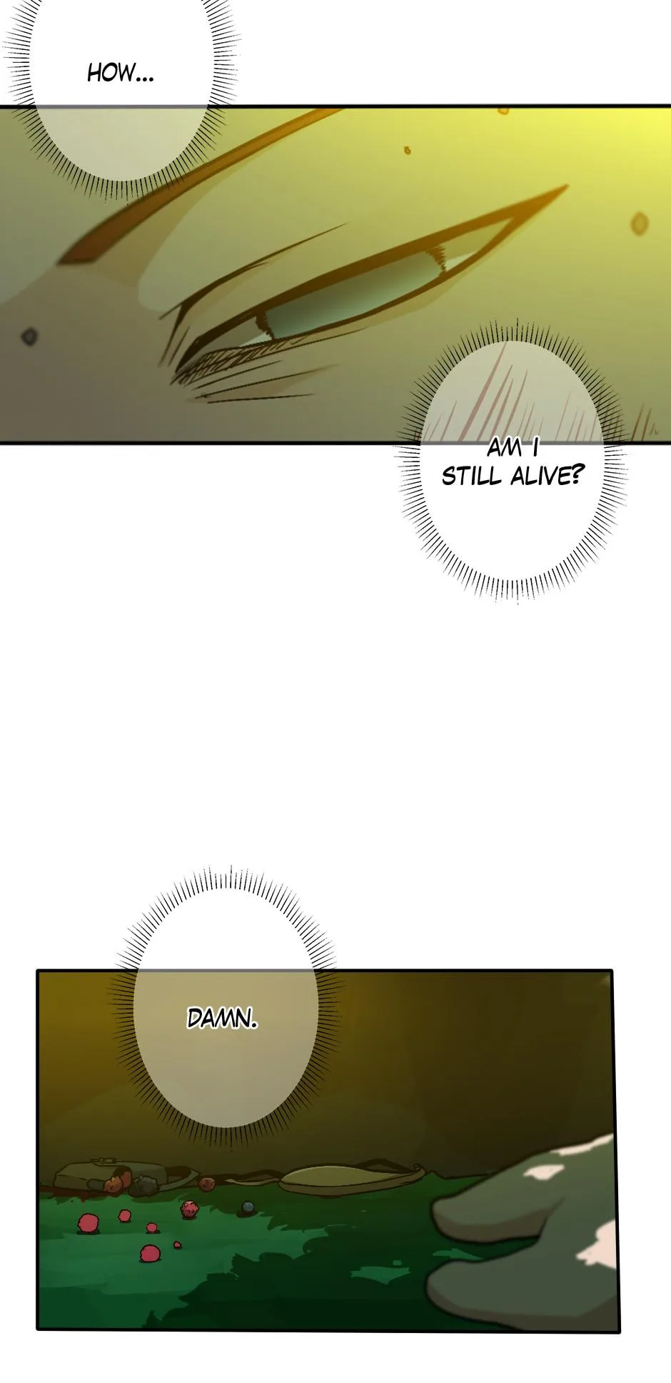 The Beginning After the End Chapter 11 – Page 29